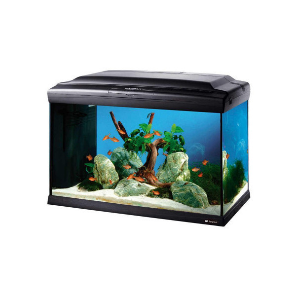 Аквариум Ferplast Cayman 60 Professional Black с лампой, внутренним фильтром и таймером, черный, 60 л