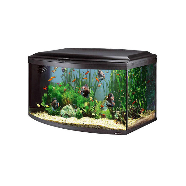 Аквариум с закругленным стеклом Ferplast Cayman 110 Scenic Black T5 с, внутренним фильтром и таймером, 300 л