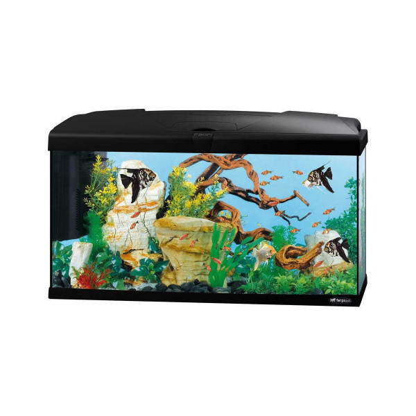 Аквариум стекляный Ferplast Capri 80 Black с LED-освещением, черный, 100 л