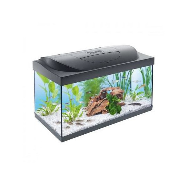 Аквариумный комплект Tetra LED, 60×30×30 см 54 л