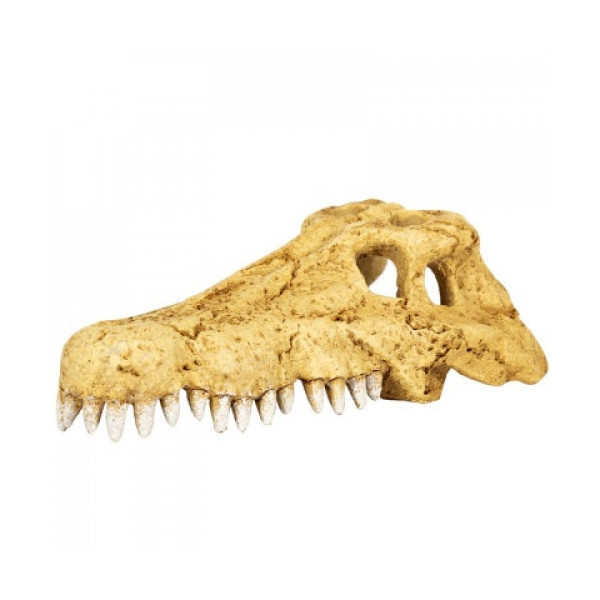Череп крокодила REPTI-ZOO Crocodile Skull ERS34S S 11x6x4 см