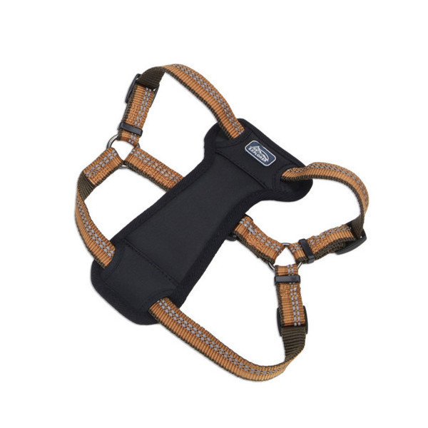 Нейлоновая шлея Coastal K9 Explorer c нагрудником, для собак, оранжевый, 2.5×65-95 см