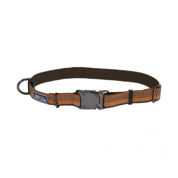 Нейлоновый ошейник Coastal K9 Explorer для собак, оранжевый, 2.5×45-65 см