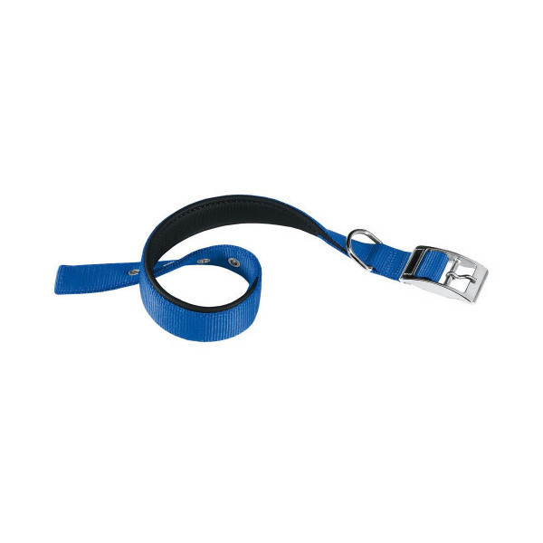 Нейлоновый ошейник Ferplast Daytona C25/45 Blue для собак, синий, A: 37x45 см, B: 25 мм