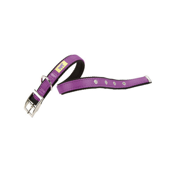 Нейлоновый ошейник Ferplast Dual CF20/43 Colours Purple для собак, 20 мм, A: 35÷43 см