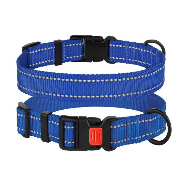Ошейник BronzeDog Active, для собак, нейлоновый, фастекс пластик, синий, 43-66×2.5 см
