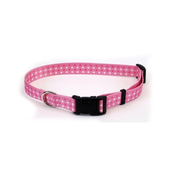 Ошейник Coastal Pet Attire Style для собак, фиолетовый, 2.5×45-71 см