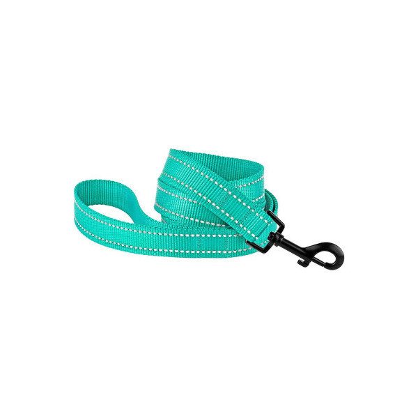 Поводок BronzeDog Active для собак, светоотражающий нейлон, бирюзовый, 152×1.6 см
