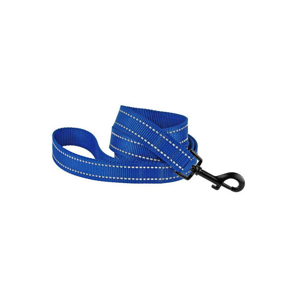 Поводок BronzeDog Active для собак, светоотражающий нейлон, синий, 152×2.5 см