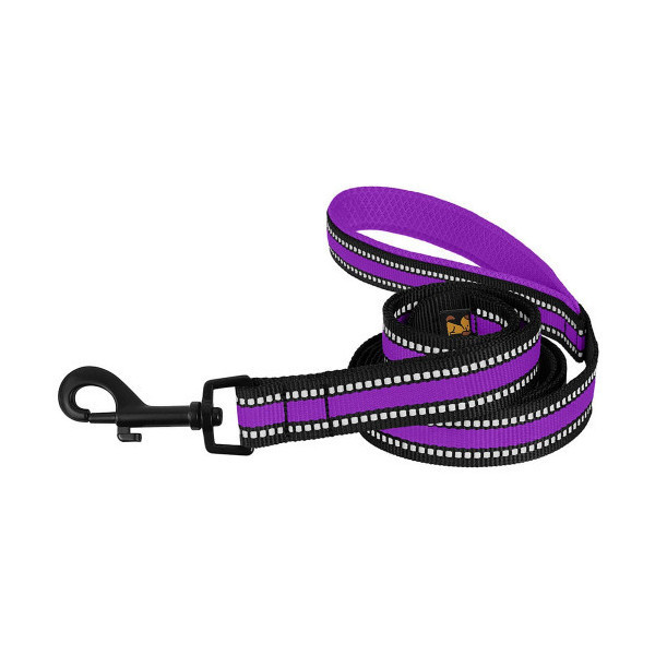Поводок BronzeDog Mesh для собак, сетчатый нейлон, фиолетовый, 200×1.6 см