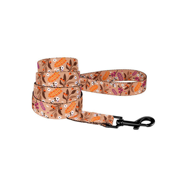 Поводок BronzeDog Tribal для собак, нейлон, принт цветы, бежевый, 152×1.6 см