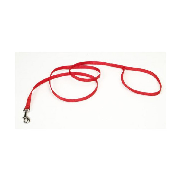 Поводок Coastal Nylon для собак, оранжевый, 1×1.2 м