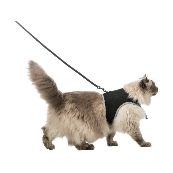 Шлея с поводком Trixie Soft Harness, для кошек, 1.2 м, 36-54 см, черный