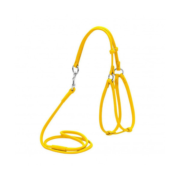 Шлея с поводком Waudog Glamour №2 круглая для кошек и мелких собак 6 мм, 90 см, желтый
