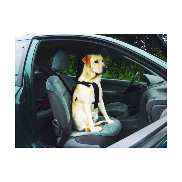 Шлея в автомобиль Pet Pro для собак, большая, 75×90 см