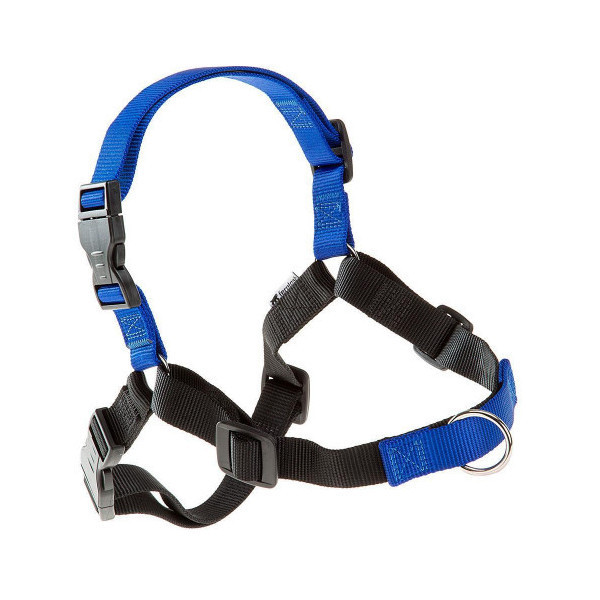Шлейка Ferplast Coach P L Harness Blue для дрессировки, A: 33x43 см, B: 64x91 см