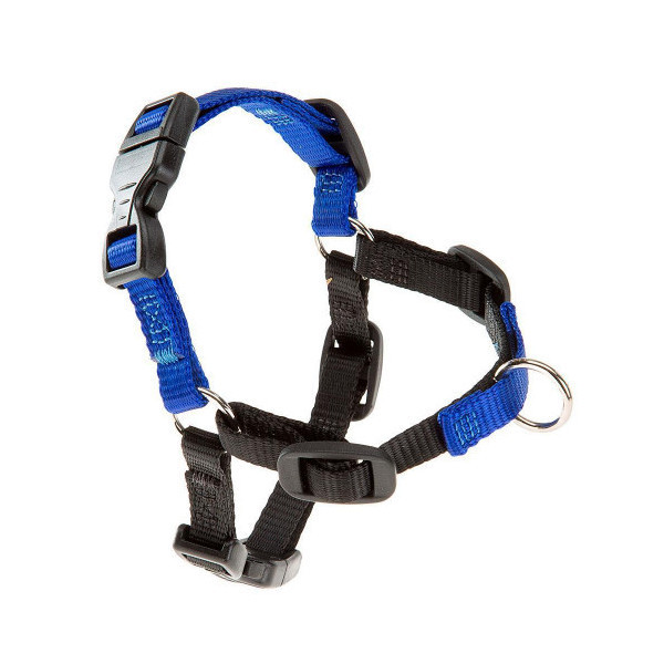 Шлейка Ferplast Coach P M Harness Blue для дрессировки, A: 20x26 см, B: 42x59 см