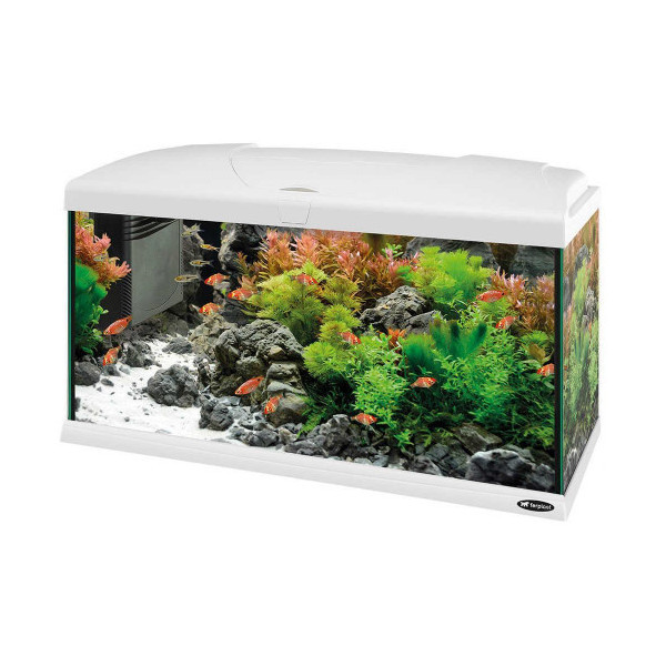 Стеклянный аквариум Ferplast Capri 80 White с LED-освещением, белый, 100 л