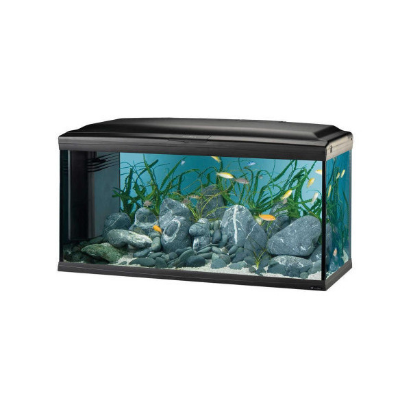Стеклянный аквариум Ferplast Cayman 110 Professional Black T5 с лампами, внутренним фильтром и таймером, 230 л