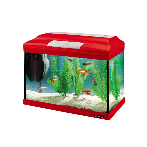 Стеклянный аквариум Ferplast Cayman 40 Colours с лампой и внутренним фильтром, 21 л