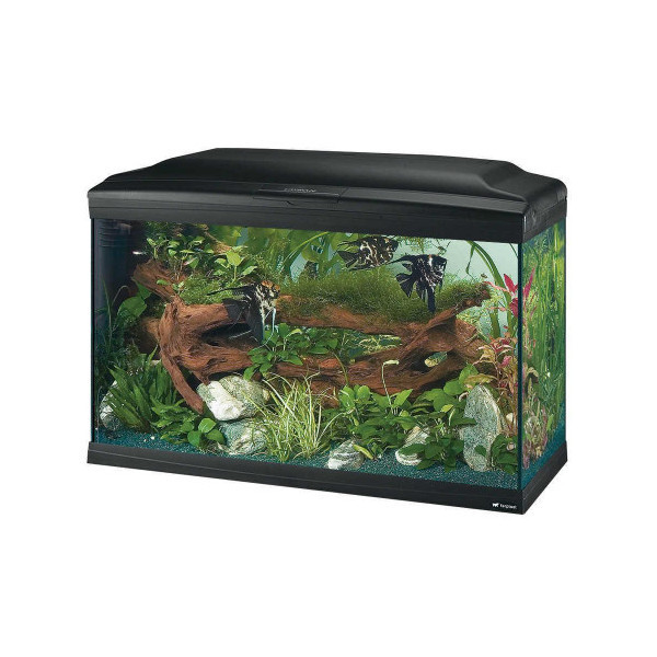 Стеклянный аквариум Ferplast Cayman 80 Professional Black T5 с лампами, внутренним фильтром и таймером, 120 л