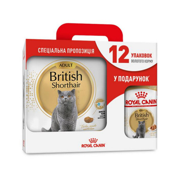 Сухой корм Royal Canin British Shorthair Adult для британских короткошёрстных кошек, 4 кг + 12 паучей в подарок