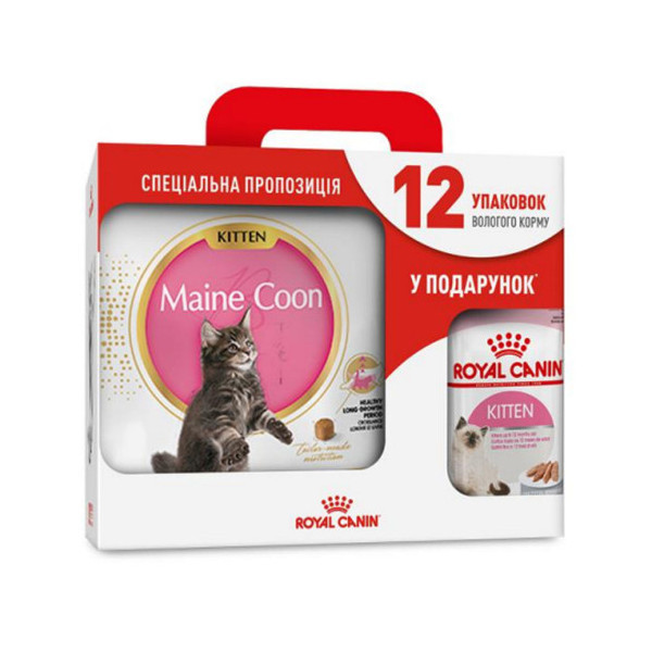 Сухой корм Royal Canin Maine Coon Kitten для котят мейн-кунов до 15 месяцев, 4 кг + 12 паучей в подарок