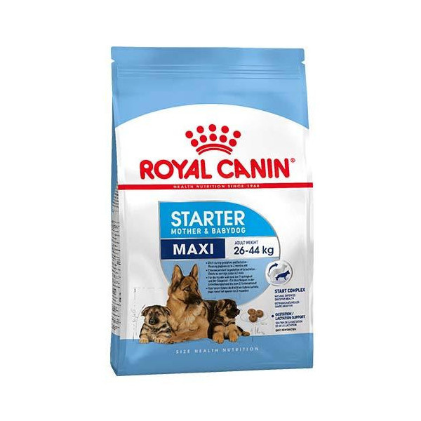 Сухой корм Royal Canin Maxi Starter для кормящих собак крупных пород, 4 кг